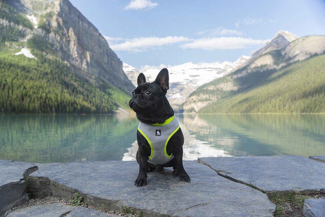 WHAT IS A COOLING VEST AND WHY DO YOU NEED ONE?