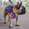 PRE-ORDER: Tie-Dye Dog Cooling Vest cooling vest barkindustry 